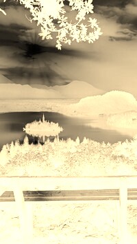 Sepia + Negatyw
