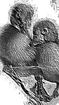 Skamielina