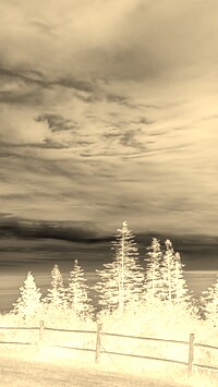 Sepia + Negatyw