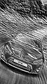 Skamielina