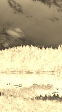 Sepia + Negatyw