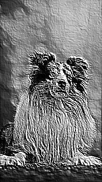 Skamielina