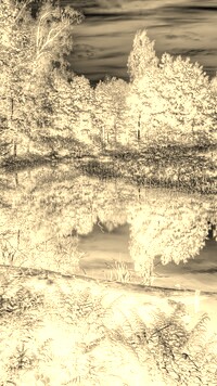 Sepia + Negatyw
