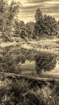 Sepia