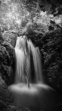 Szary