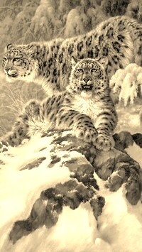 Szary + Sepia