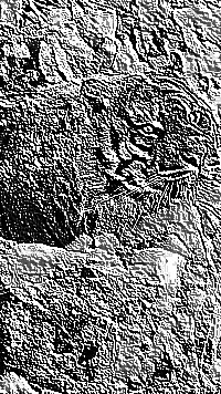 Skamielina