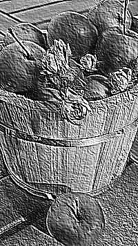 Skamielina