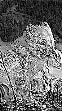 Skamielina