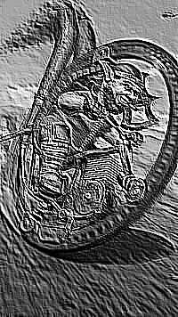 Skamielina