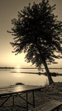 Szary + Sepia