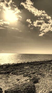 Sepia