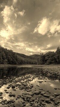 Sepia