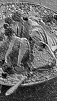 Skamielina