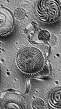 Skamielina