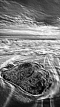 Skamielina