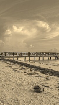Sepia