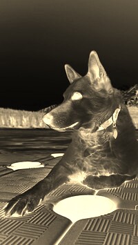 Sepia + Negatyw