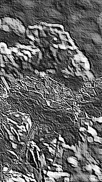 Skamielina