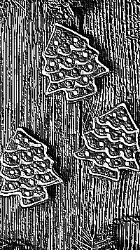 Skamielina