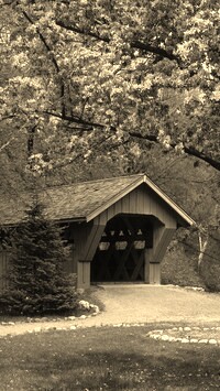Sepia