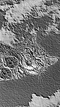 Skamielina