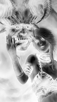 Szary + Negatyw