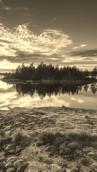 Szary + Sepia