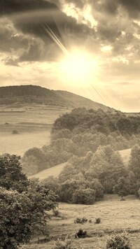 Sepia