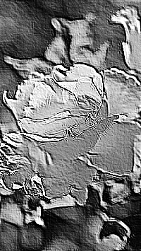 Skamielina