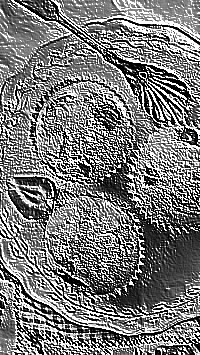 Skamielina
