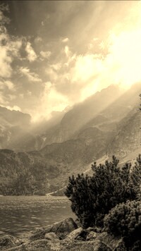 Sepia