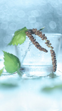 Oryginalny obrazek