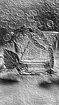 Skamielina