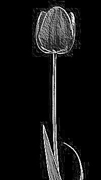 Skamielina