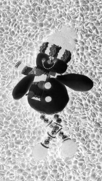 Szary + Negatyw