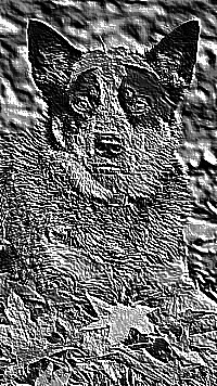 Skamielina