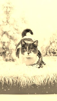 Szary + Sepia