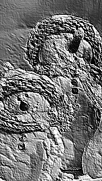 Skamielina