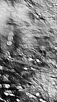 Skamielina