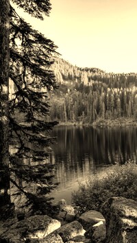 Szary + Sepia