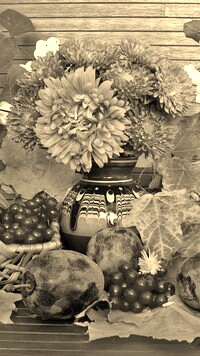 Szary + Sepia
