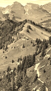 Szary + Sepia