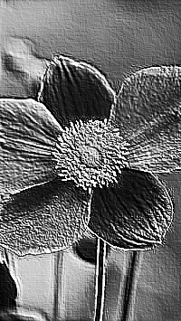 Skamielina