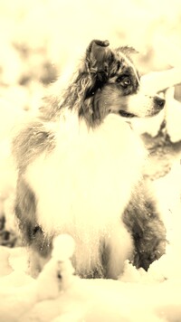 Sepia