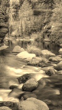 Sepia