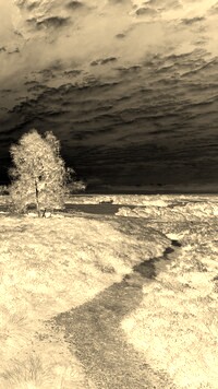 Sepia + Negatyw