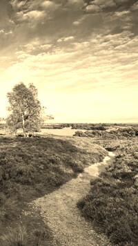 Sepia