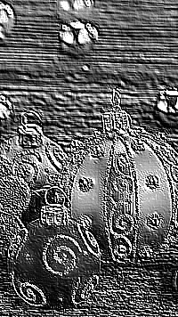 Skamielina