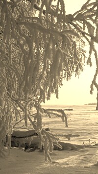 Szary + Sepia